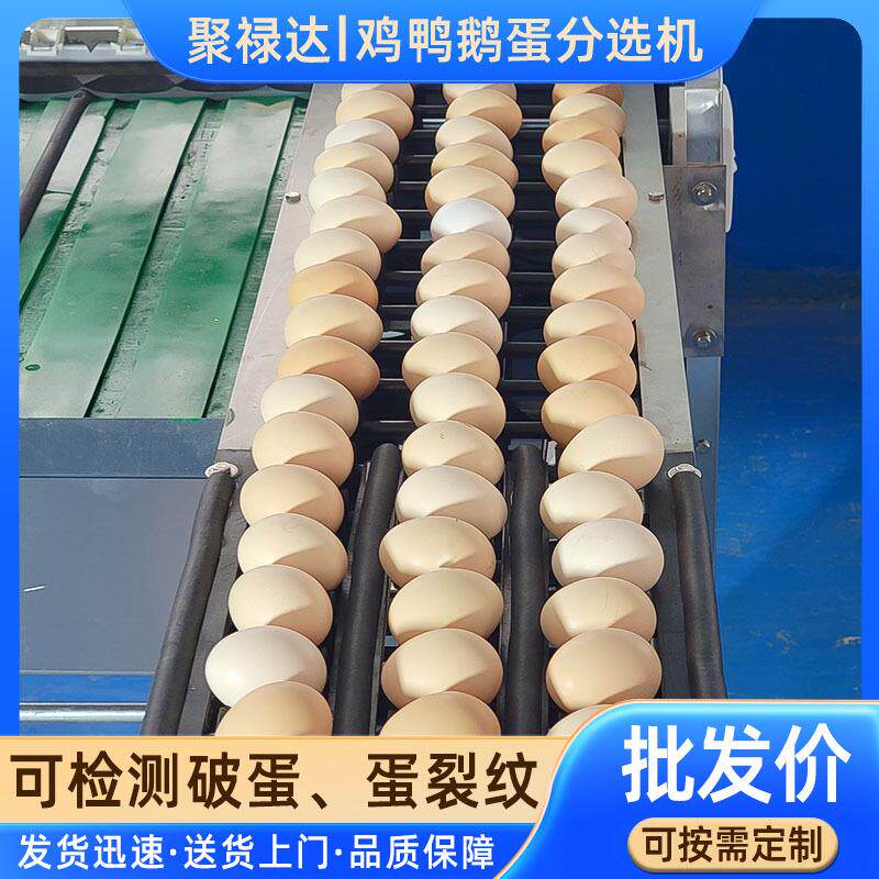 精密重量分拣机鸡鸭鹅蛋副产品高精度自动称重分选零食蛋类分级机