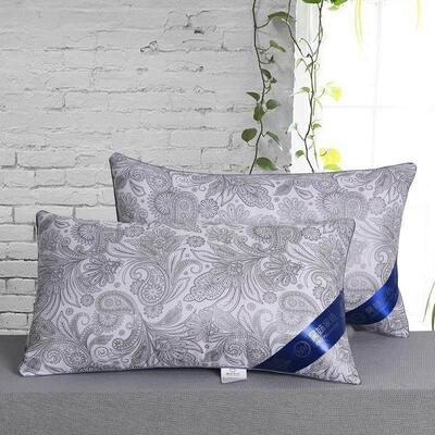 A pair of pillows with hotel pillow core students