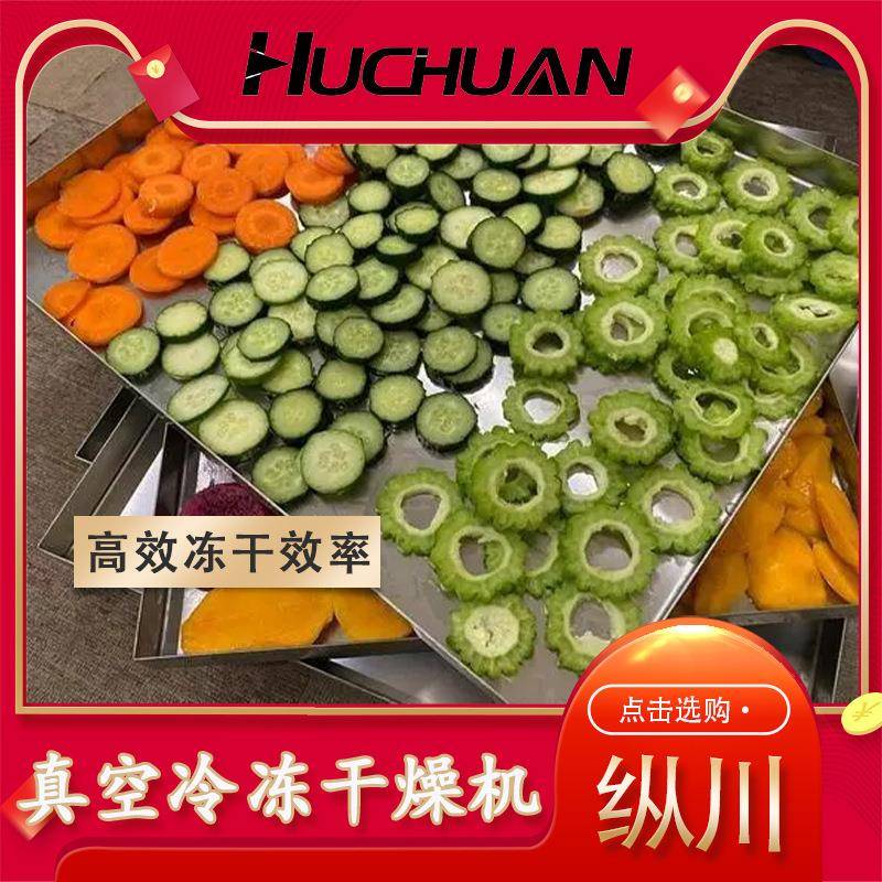 脆柿切片真空冻干机昆虫土元低温真空冷冻干燥机中药材冻干设备
