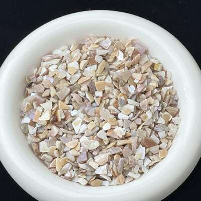 6-9mm水洗去皮珍珠母