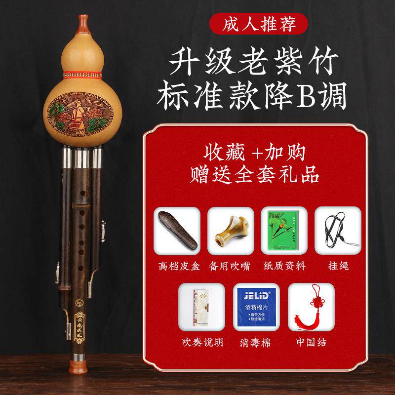 正品葫芦丝乐调学生初学专用降器B儿童成人专业奏型C防摔紫竹葫芦