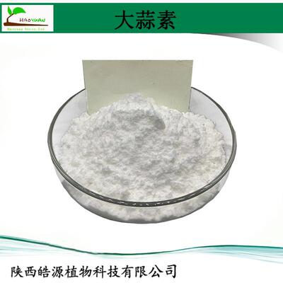 大蒜提取物5%10%25% 纯大蒜粉 garlic extract 大蒜浓缩粉 大蒜素