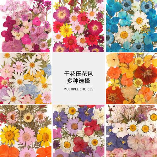 干燥花diy材料真花滴胶手机保护壳手工团扇贺卡书签压花玫瑰树叶