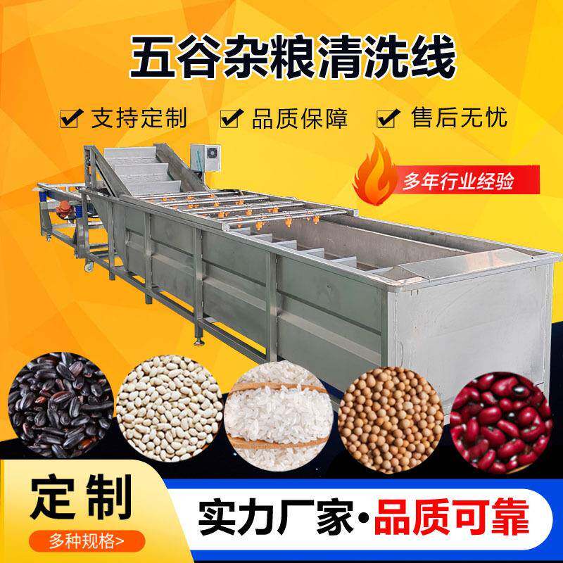 全自动大米除杂清洗机玉米五谷杂粮气泡清洗机粮食清洗深加工设备