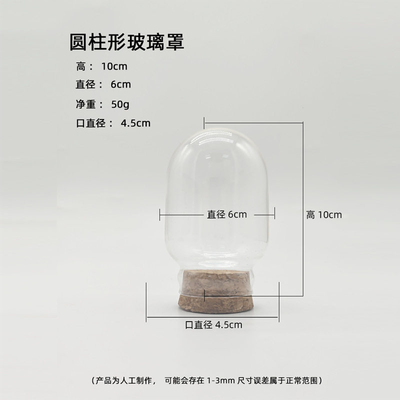 diy玻璃罩软木塞纪念品装饰摆件图片