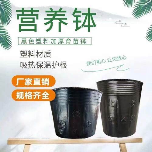 Nutrient Cups for Seedling Cultivation, Thickened Plastic Di