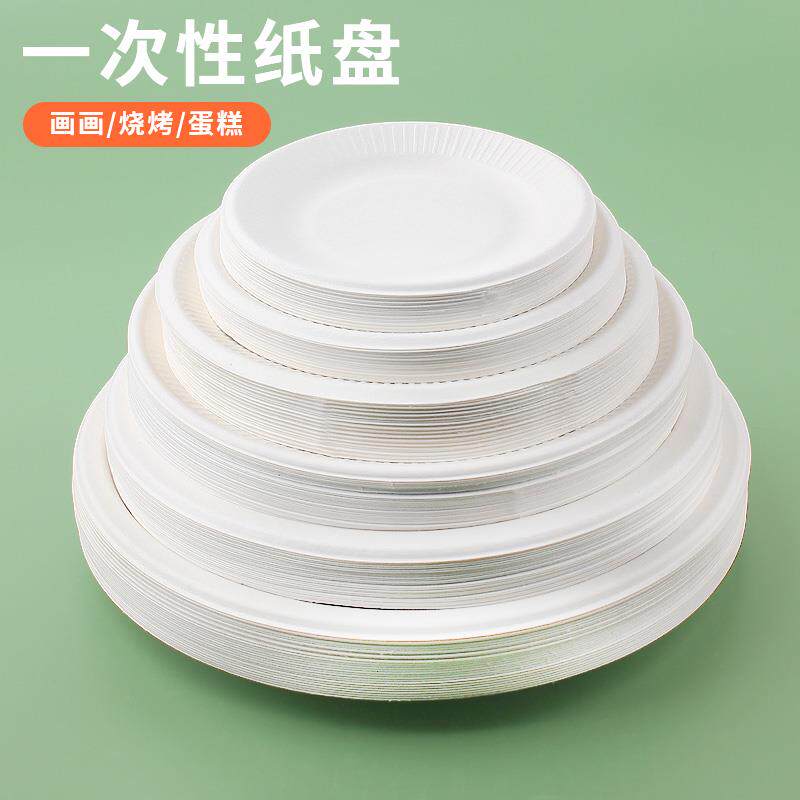 一次性餐盘加厚生日蛋糕盘子派对纸碟绘画可降解餐具小吃野餐纸盘