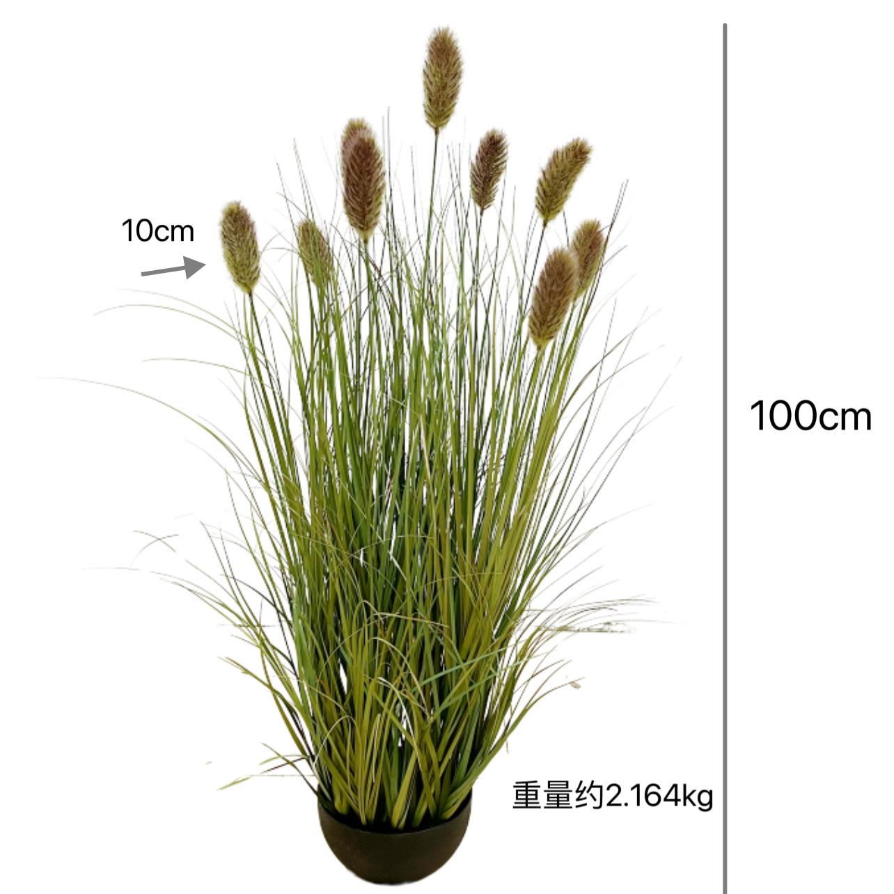 含阳ins风仿真绿植拉毛果盆景芦苇洋葱草商场造景植物景观装饰
