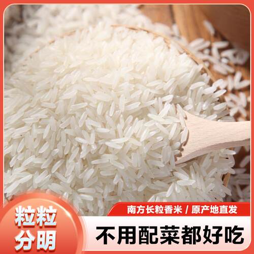 【特惠】大米长粒香米象牙米晚稻丝苗米煲仔饭新鲜便宜正宗猫牙米