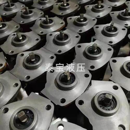 厂家供应摇摆齿SBRB-3轮油泵 SB泵R-3机床B液压润 滑齿轮电动液压