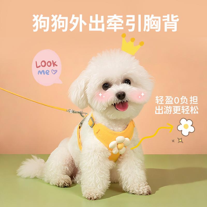 宠物外出小雏菊绣花牵引绳花边背心狗狗猫咪胸背带小型犬胸背跨境