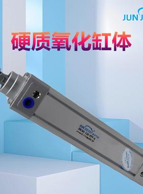 源头NC费托型DPPV标准气缸SE亚德斯客型气缸6431标气准动气缸