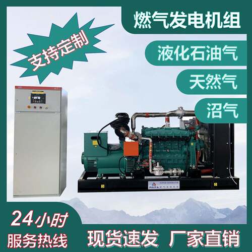 普利达生物质气化发电机组500kw秸秆粪便沼气热电联产生物质发电