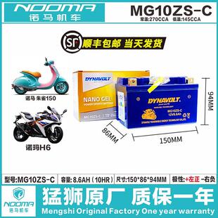 国产地平线诺马H6国威GW250国产小忍者趴赛250训龙200CC专用电瓶