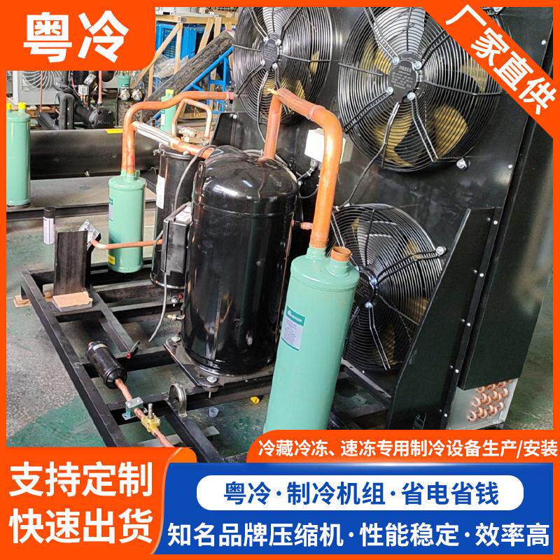冷藏冷冻速冻制冷设备节能机组 大功率制冷机组厂家 风冷压缩机组