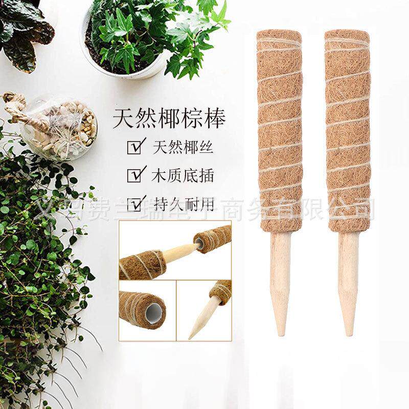 植物攀爬架绿萝爬藤支撑杆棕榈丝绿植棕柱皮龟背竹盆栽装饰椰棕棒