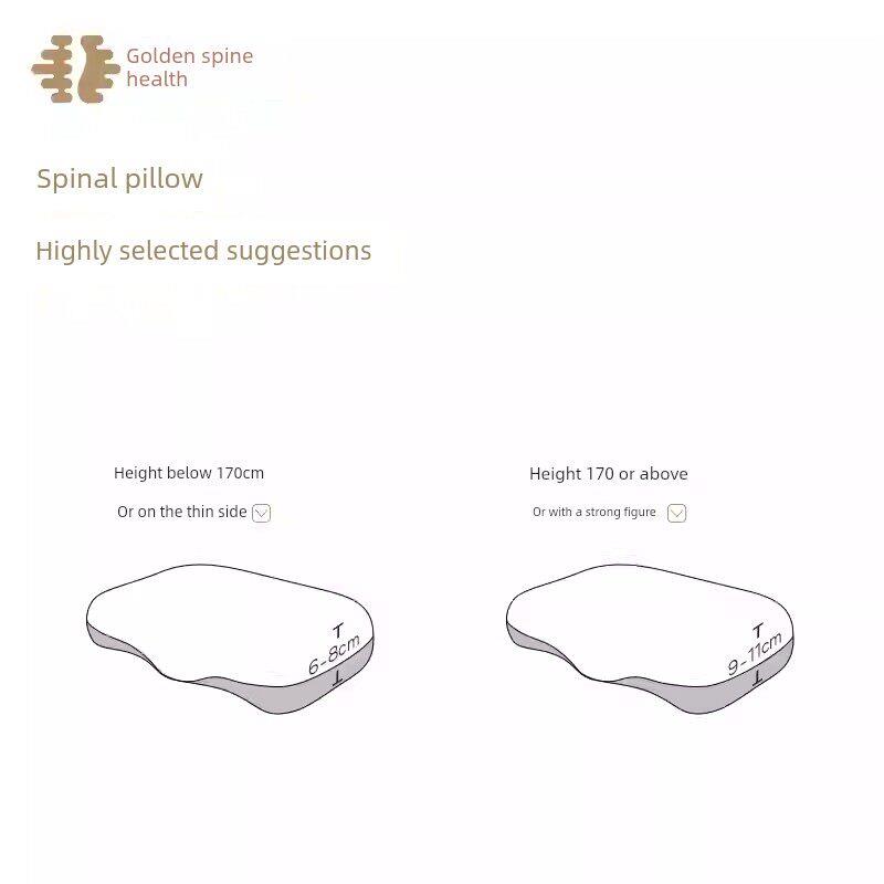 Medchiro Golden Spine健之脊柱枕颈护枕深度睡眠枕牵引枕记忆泡 - 实物图