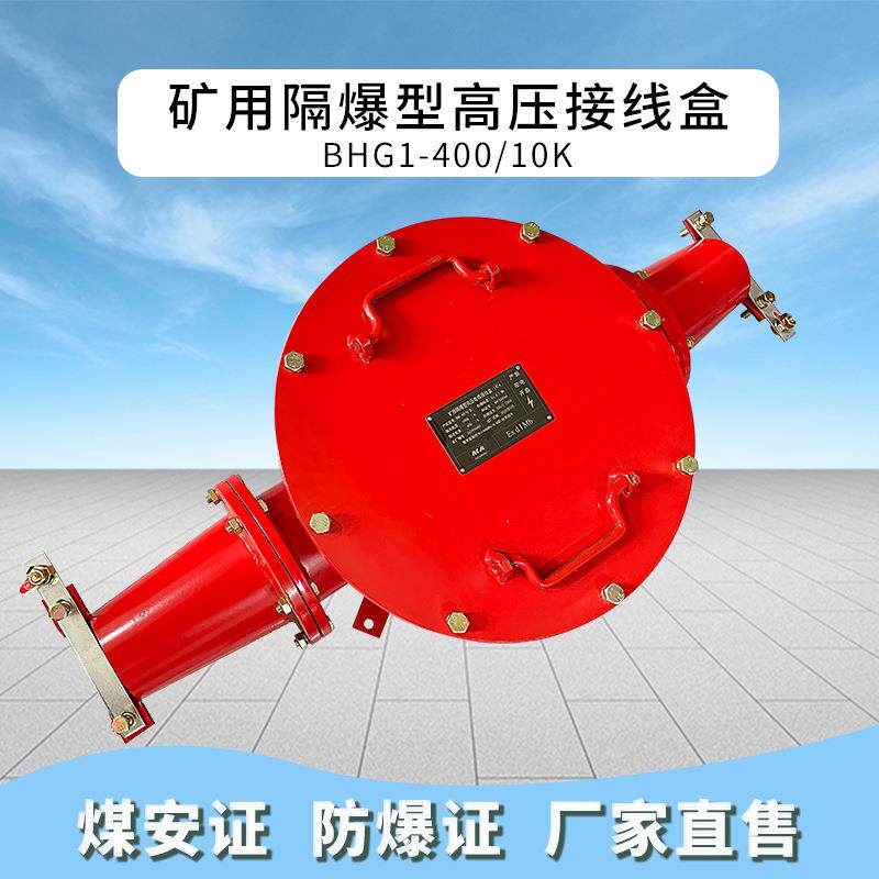铸钢铠装防爆高压接线盒BHG1-400/10-2G矿用隔爆型电缆分线盒