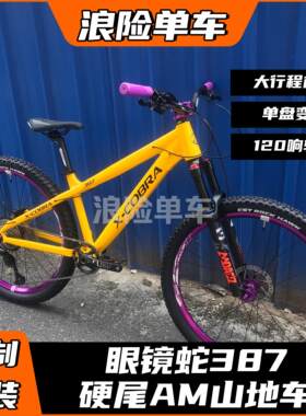 眼镜蛇387整车土坡硬尾AM登山车组装定制单速变速120响轮组自行车