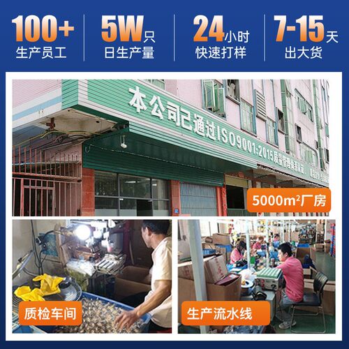 ED户灯串用于外露营灯串摆摊灯适装饰灯串48ft15灯SJTO14L配器灯
