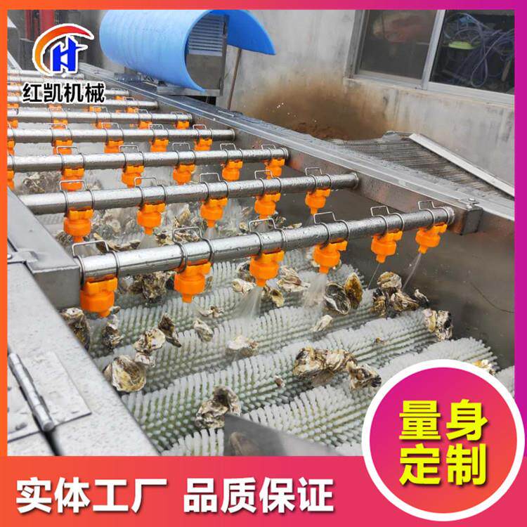 大连生蚝牡蛎清洗机美贝水循环毛辊清洗机贝壳类用毛刷清洗机