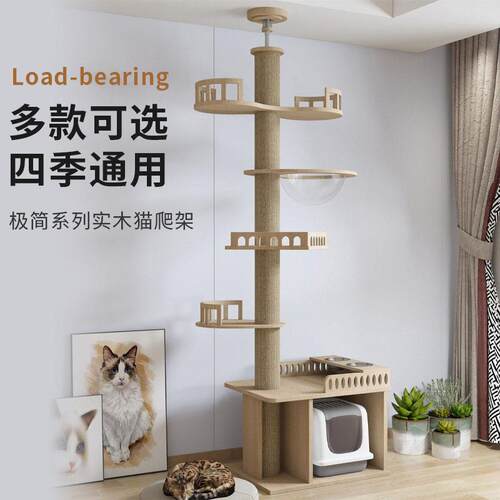 小户型通天柱猫爬架猫抓板猫窝一体四季通用顶天立地猫架子不占地