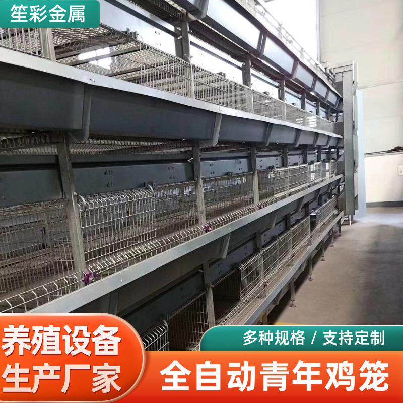青年鸡全自动养鸡笼养殖场鸡舍养鸡三四层叠式自动上料清粪鸡笼