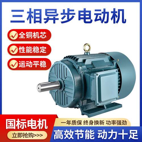 三相电机Y100L2-4 3KW/Y112M-4 4KW/1.1/2.2/5.5KW全铜国标马达