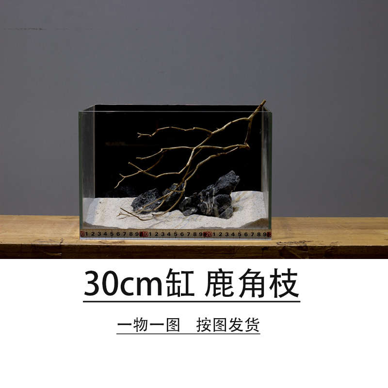 鹿角枝沉木南美缸造景鹿角枝干树枝小鱼缸布景枯木30缸小树枝条