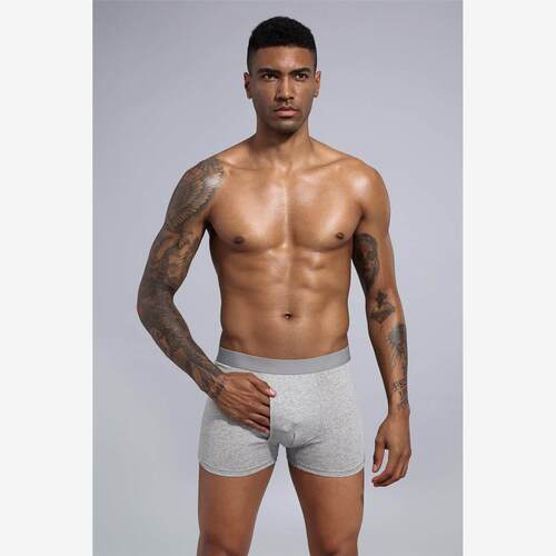 Boys cotton plus size underwear boxer briefs men大码男棉内裤