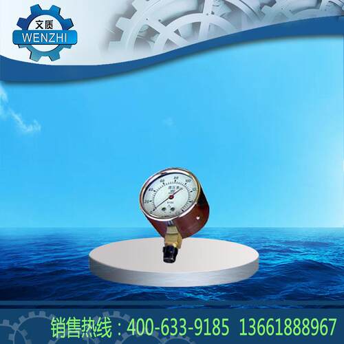 厂家供应膜盒压力表YE-60厂家膜盒压力表YE-60