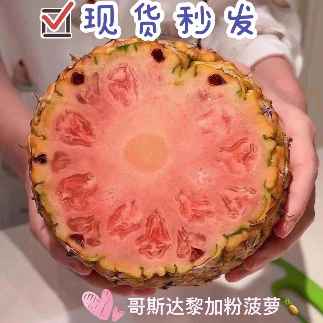 哥斯达黎加品种粉色凤梨凤梨礼盒1个装高端稀有水果儿童孕妇顺丰