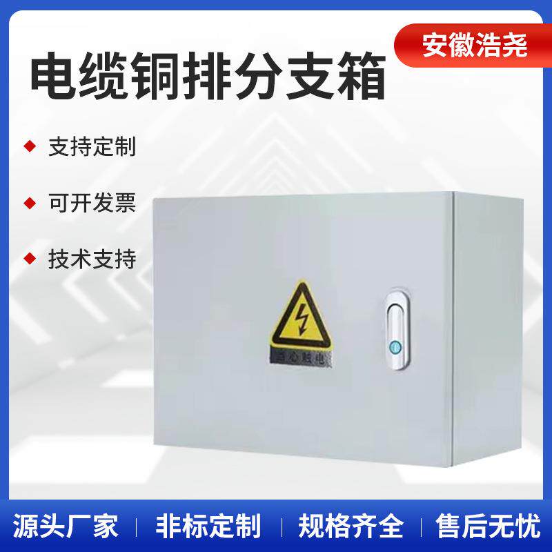 定制电缆铜排分支箱铜排箱T接转换配电箱绝缘分流箱保护箱厂家