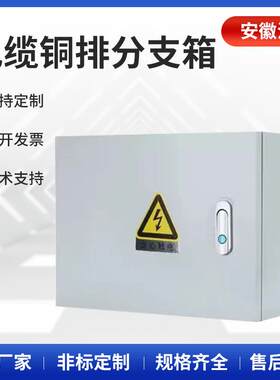 定制电缆铜排分支箱铜排箱T接转换配电箱绝缘分流箱保护箱厂家