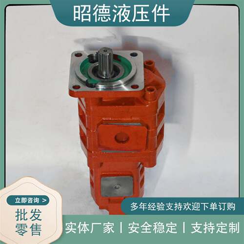 现货双联高压齿轮泵工程机械设备CBGJ2100/2063