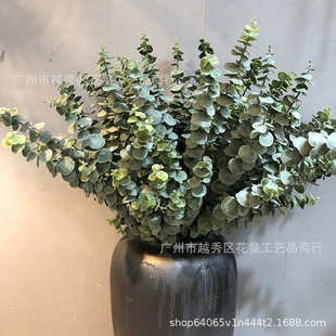 饰仿真花塑料草人造假花仿真植物 软塑胶尤加利金钱叶婚庆家居装