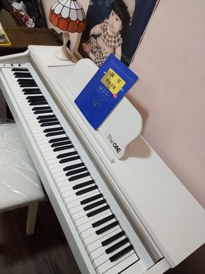 如何评价TheONE和卡西欧电钢琴比，应该选择谁呢？