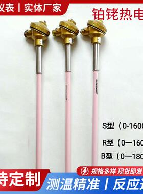铂铑热电偶WRP-130 耐高温0-1800度S型B型R型双铂铑热电偶