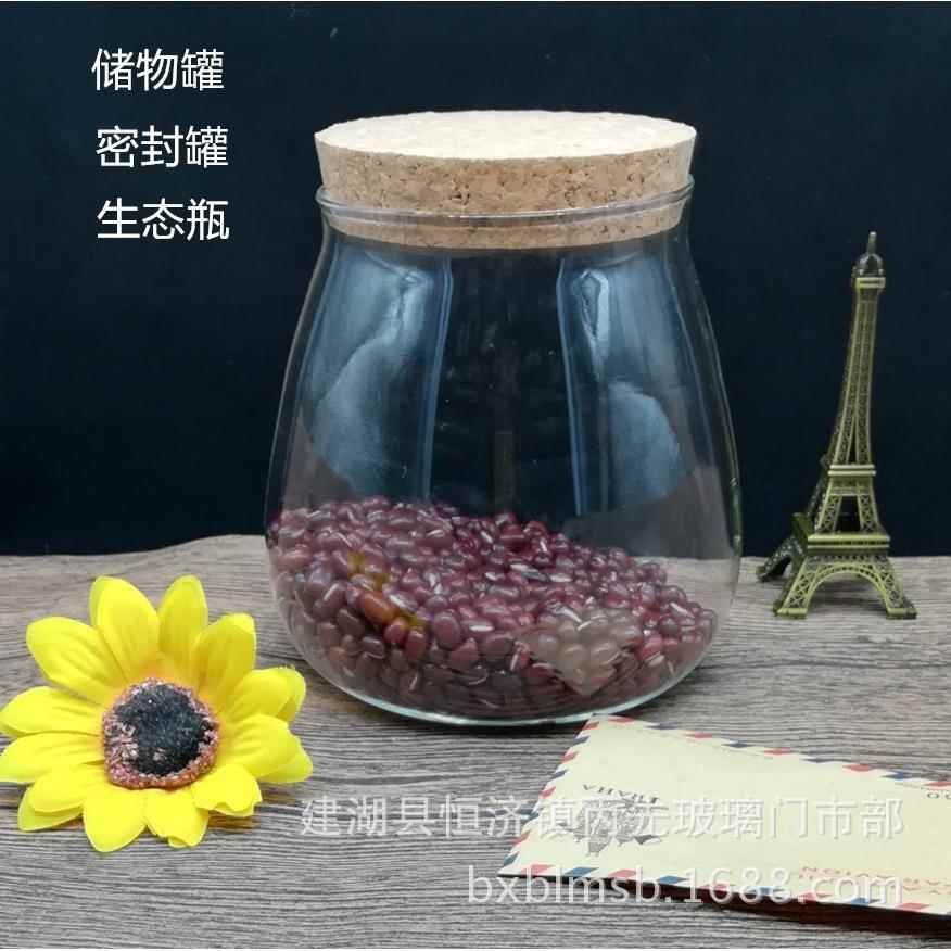 水滴木塞瓶微景观玻璃瓶带LED小灯水滴形密封罐储物罐茶叶罐