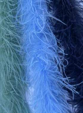 1 多层182cm服装辅料裙摆舞台绒拉丁舞羽毛鸵鸟毛 条条   加密