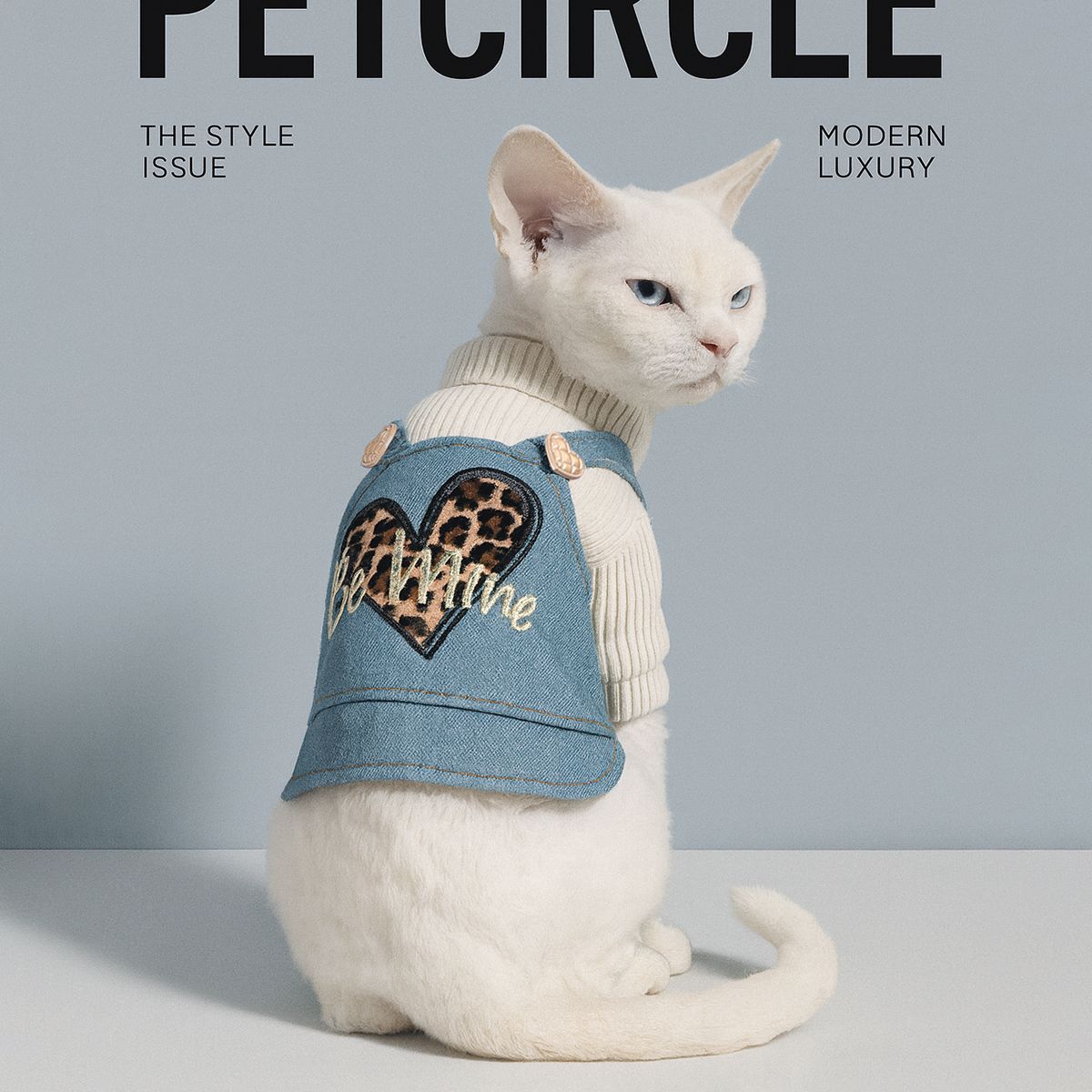 牛仔裙现货跨境爆款宠物小狗雨衣