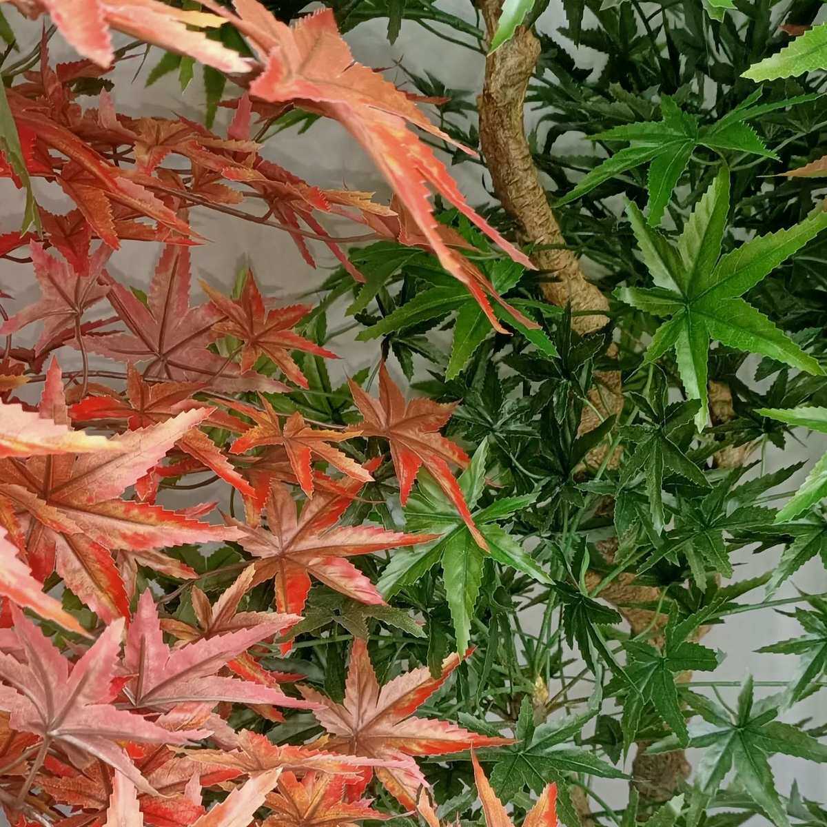 仿真红枫绿植盆摘植物假树盆景假花盆栽仿真花装饰摆件塑料假枫树