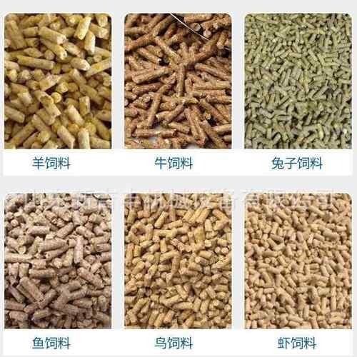 玉米秸秆青草颗粒造粒机 畜牧养殖杂粮颗粒机 中小型饲料加工设备