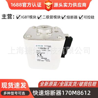 170M8612 170M8635 170M8636 170M8637 低压熔断器 量大价优
