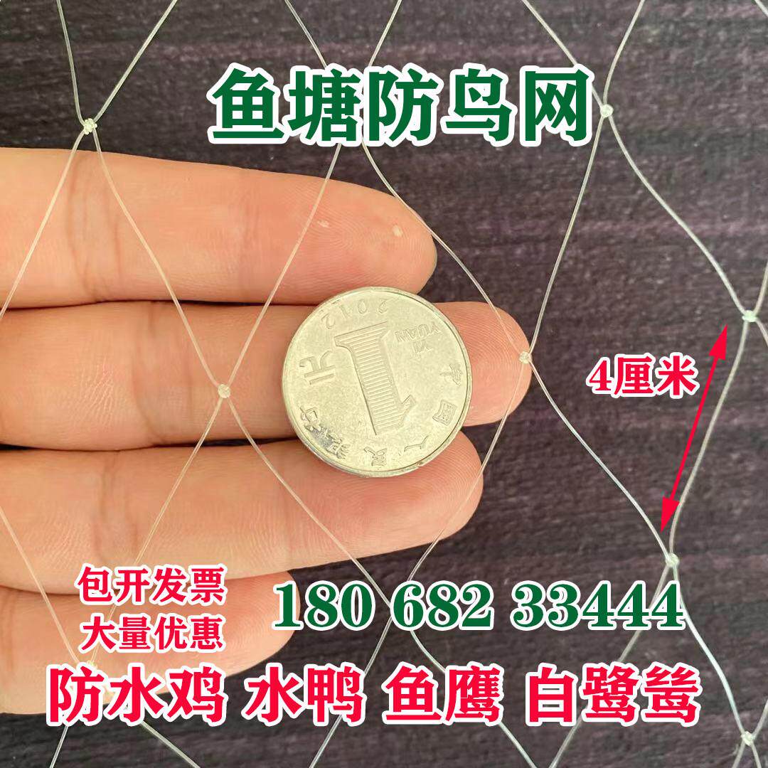 鱼塘防鸟网大网眼尼龙综丝纱网防鸟用的网泥鳅塘天网养殖网螃蟹网