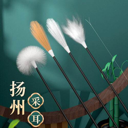 Professional Ear Cleaning Tool Set, including Ear Wax Remova