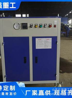不锈钢RT-ZFQ60汽机桥梁养护凝土电蒸加热蒸汽发生热器工业电加蒸