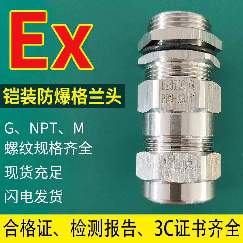 防爆铠装电缆密封夹紧接头不锈钢格兰头金属M20防水格兰头1/2NPT