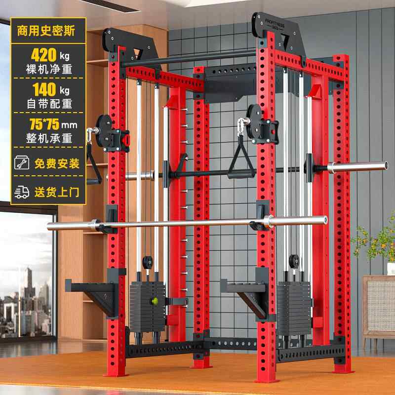 正品爱宸REP史密小飞鸟龙门架综训合练健身器家材用一体深蹲卧斯