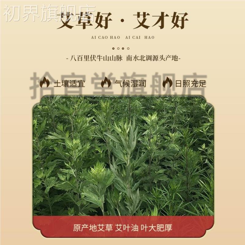 南京仁堂绿金家园陈艾 柱QOJ艾灸柱艾艾绒柱制品艾绒盒同装艾柱